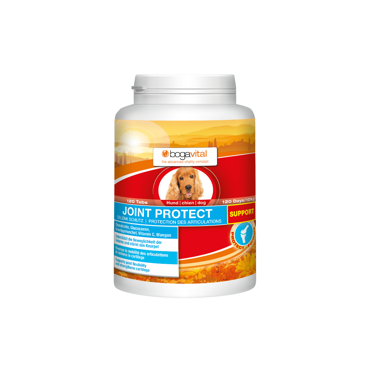 bogavital Joint Protect Support Hund 180 g / 120 Tabs